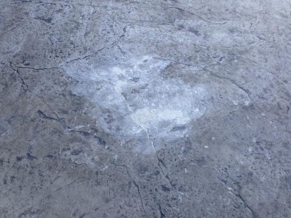 Ryan Heneka's Decorative Concrete