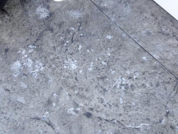 Ryan Heneka's Decorative Concrete