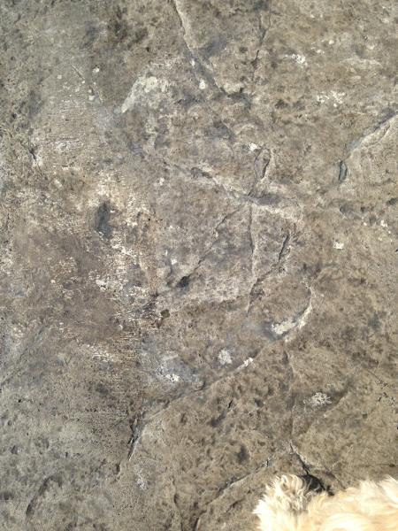 Ryan Heneka's Decorative Concrete