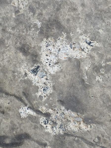 Ryan Heneka's Decorative Concrete