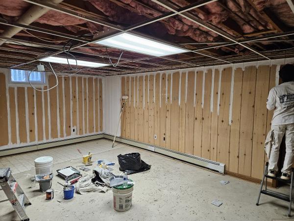 The Peoples Painter Inc