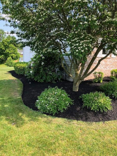 East Side Landscaping Services