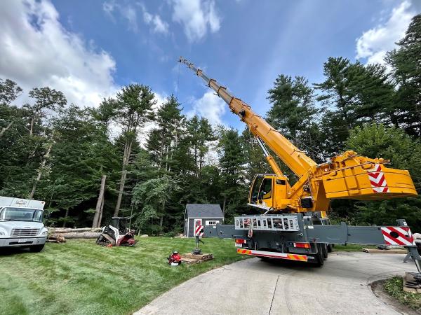 Stumpy's Tree Service