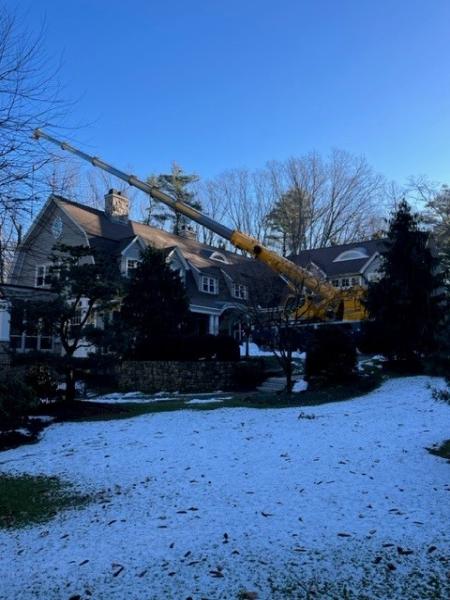 Stumpy's Tree Service