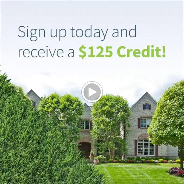 Borst Landscape & Design