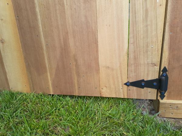 Affordable Custom Fence