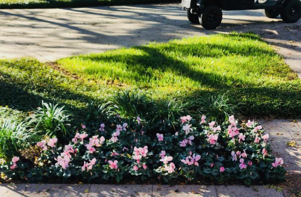 TLC Total Lawn Care LLC