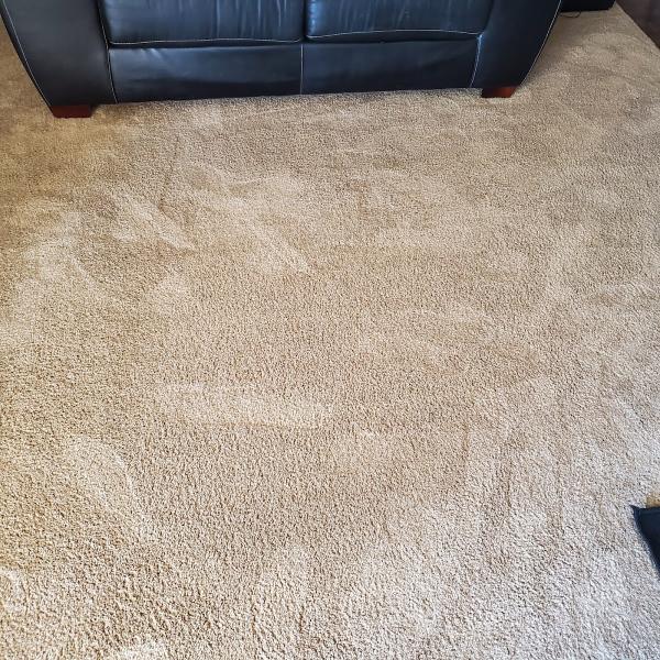 The Magical Clean