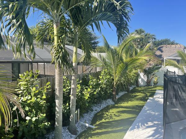 Jarocho Landscaping