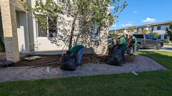 Jarocho Landscaping