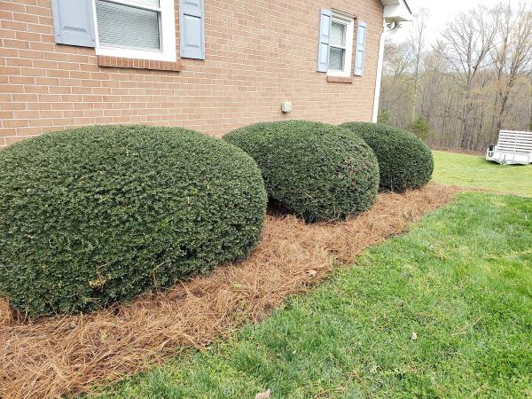 California Landscaping & Lawn Care