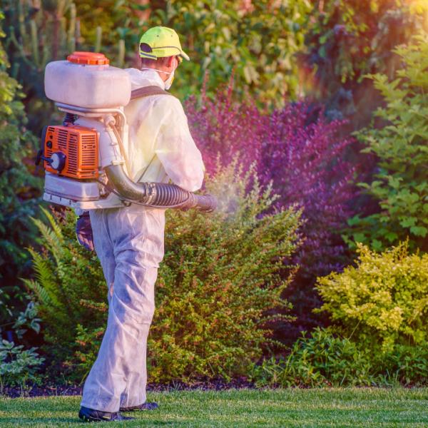 The Bomb Pest Control