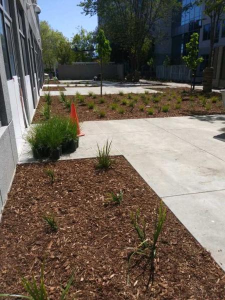 R&J Landscaping