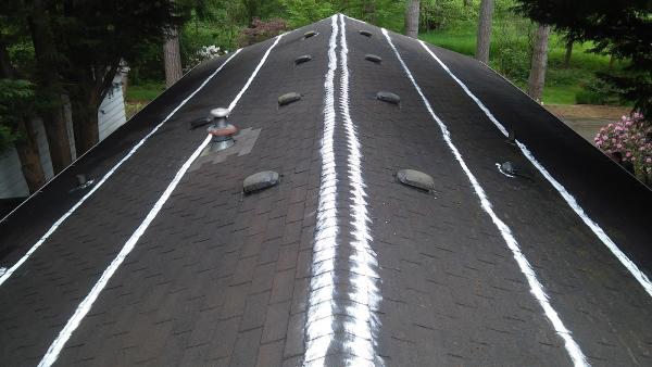 Whatcom Gutter & Roof Cleaning