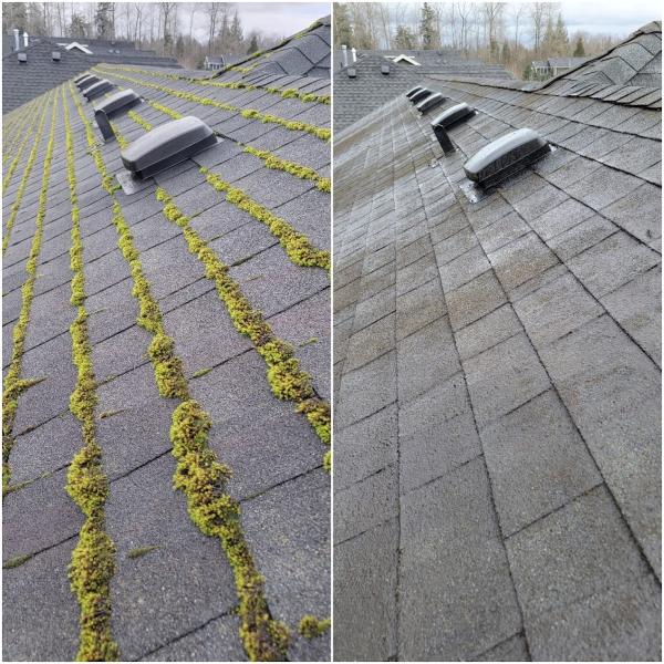 Sunco Window Cleaning LLC