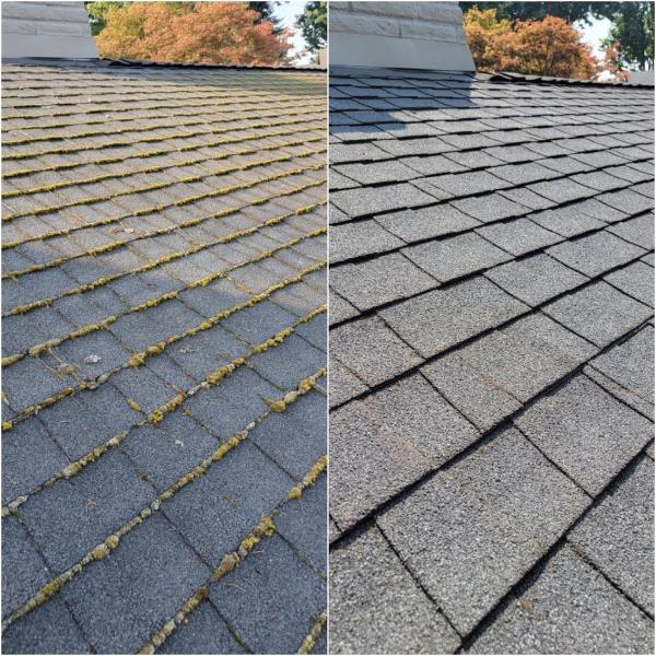 Sunco Window Cleaning LLC