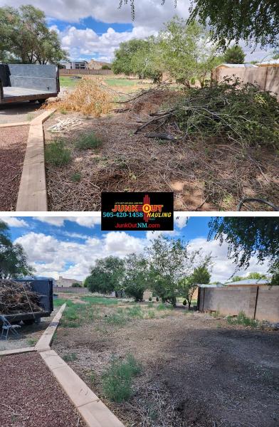 Junk Out Hauling LLC