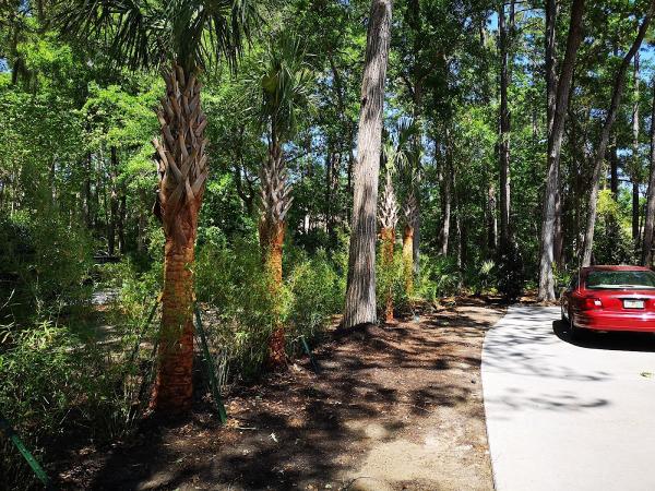 Lowcountry Greenscapes