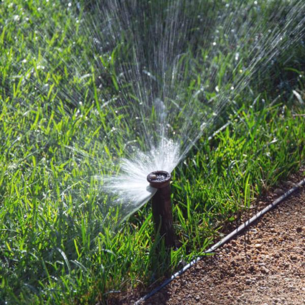 Sacramento Sprinkler Repair & Installation