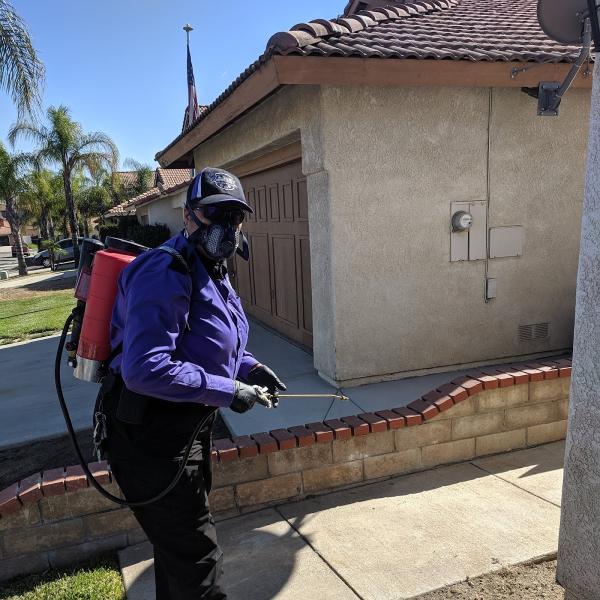 Carey Pest Management