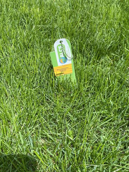 Alcs Lawn Care