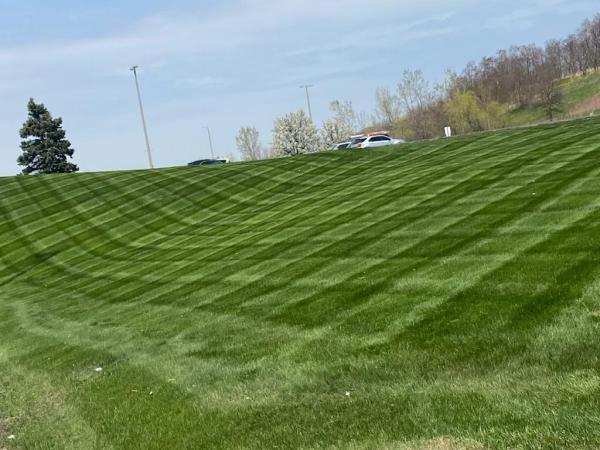 Alcs Lawn Care