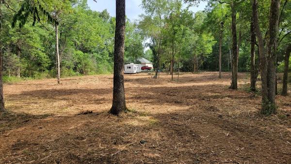 Firefly Land and Brush Clearing