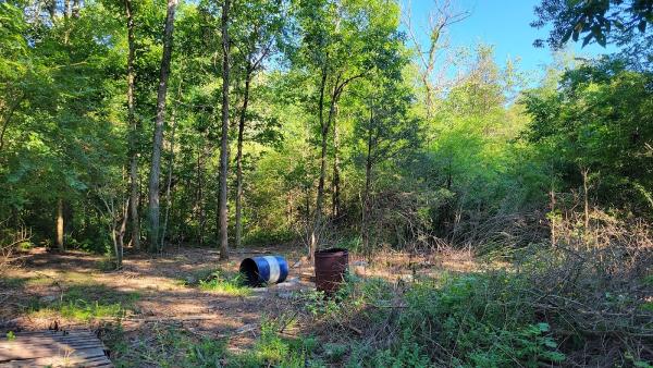Firefly Land and Brush Clearing