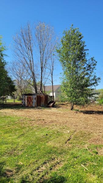 Firefly Land and Brush Clearing