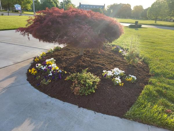 R R Lawn Services & Snow Removal