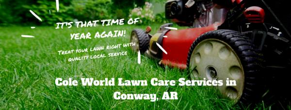 Cole World Lawn Care