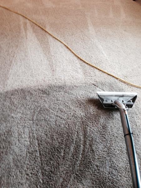 Ernie's Carpet & Upholstery Cleaners