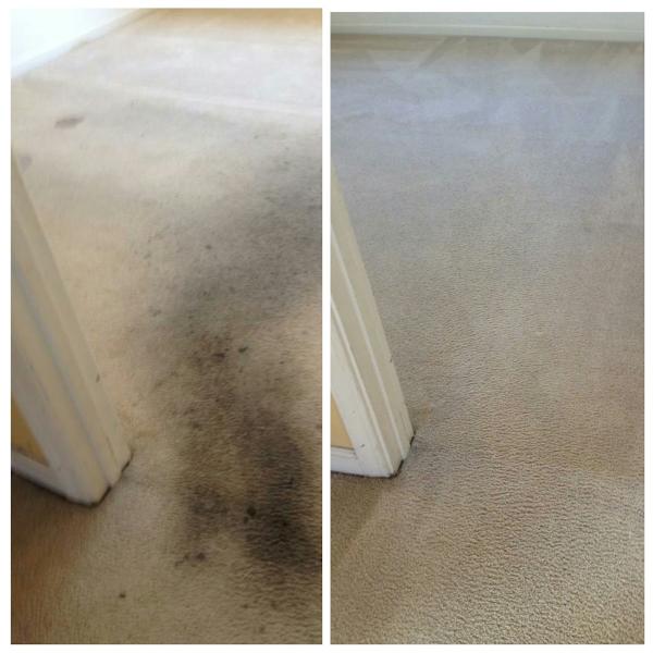 Ernie's Carpet & Upholstery Cleaners
