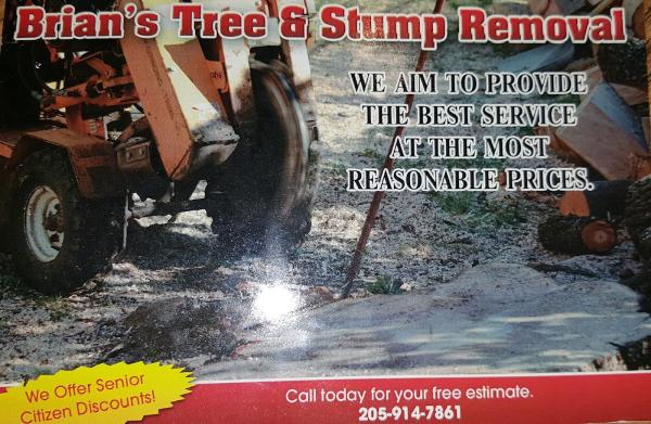 Brian's Tree & Stump Removal