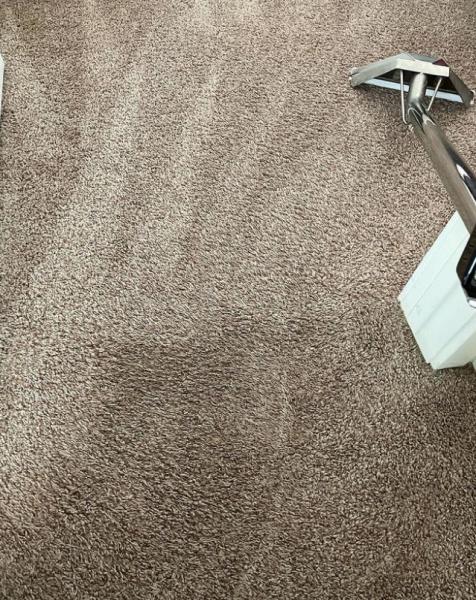 Pineapple Carpet Cleaning