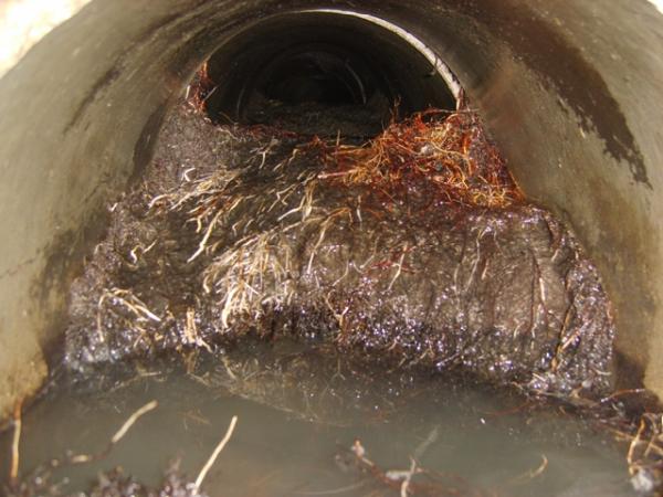 The Sewer Pros
