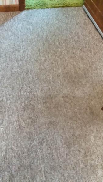 Brite Beauty Carpet Cleaning