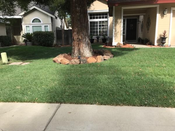 Josue Landscaping Service