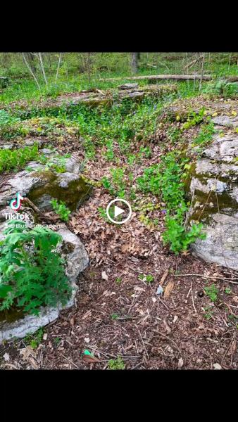 Titus Landscape- Design & Installation Service