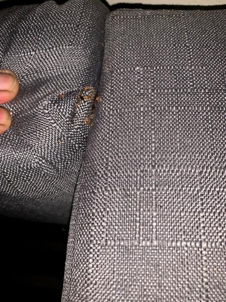 C and E Pest Management Inc