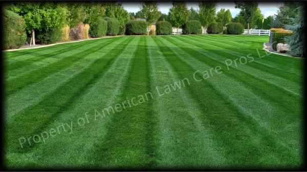 American Lawn Care Pros