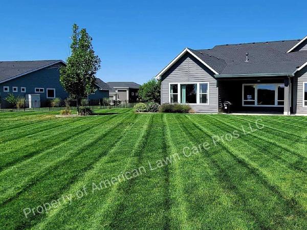 American Lawn Care Pros