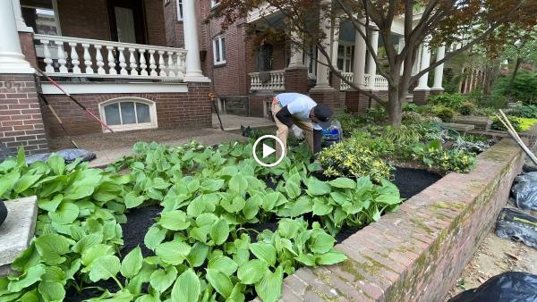 EAS Landscaping