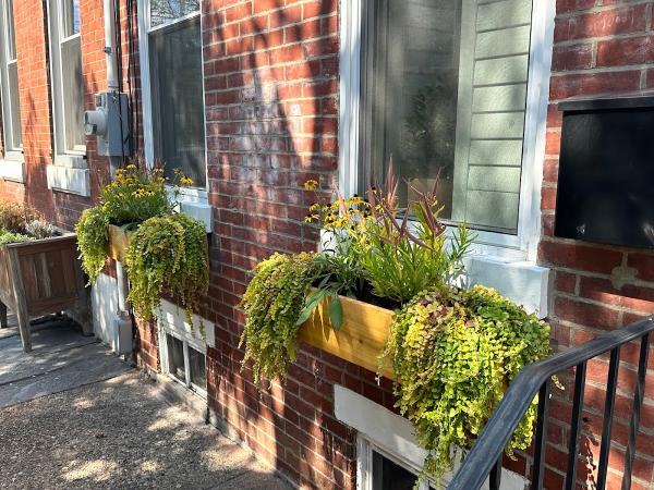 EAS Landscaping
