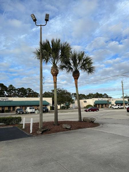 Florida Scapes