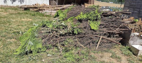 Jake's Landscape Maintenance