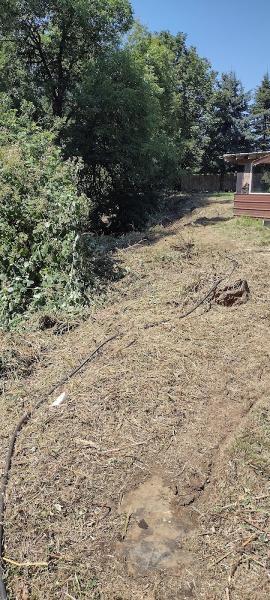 Jake's Landscape Maintenance