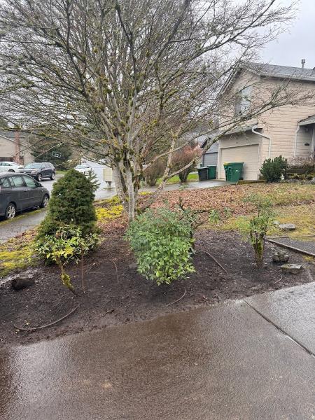 Jake's Landscape Maintenance