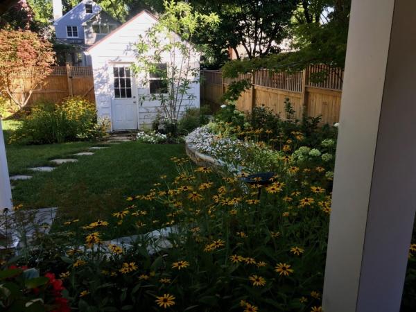 Bethesda Garden Design