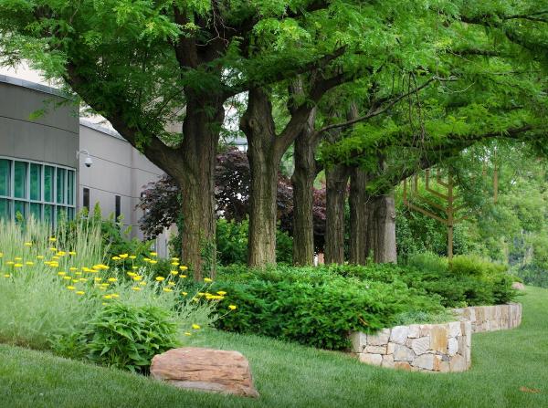 Bethesda Garden Design